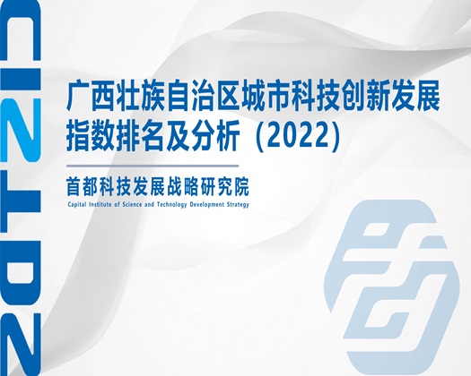 艹出水【成果发布】广西壮族自治区城市科技创新发展指数排名及分析（2022）